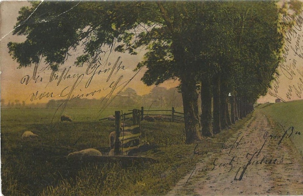 Fotografie: Ilustrată cu peisaj, circulată în 1907