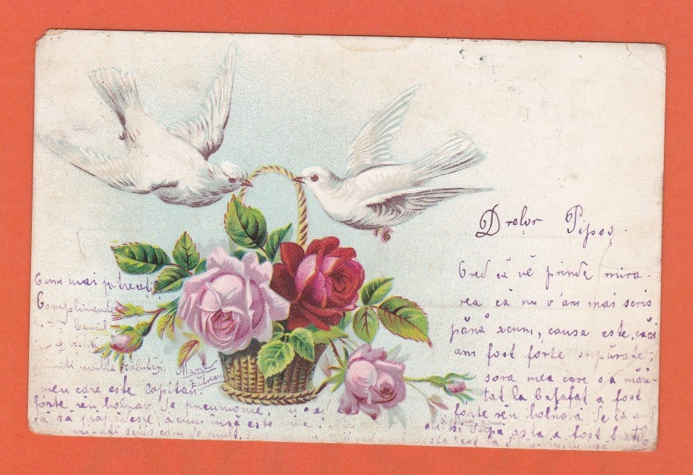 Fotografie: Ilustrată cu porumbei și flori, 1903, circulată spre Sibiu