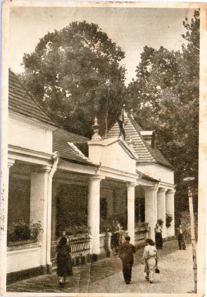 Fotografie: Vedere R.P.R. „Buziaș — vedere”, circulată