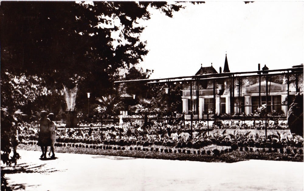 Fotografie: Ilustrată „Vedere din Buziaș”, 1963, circulată (II)