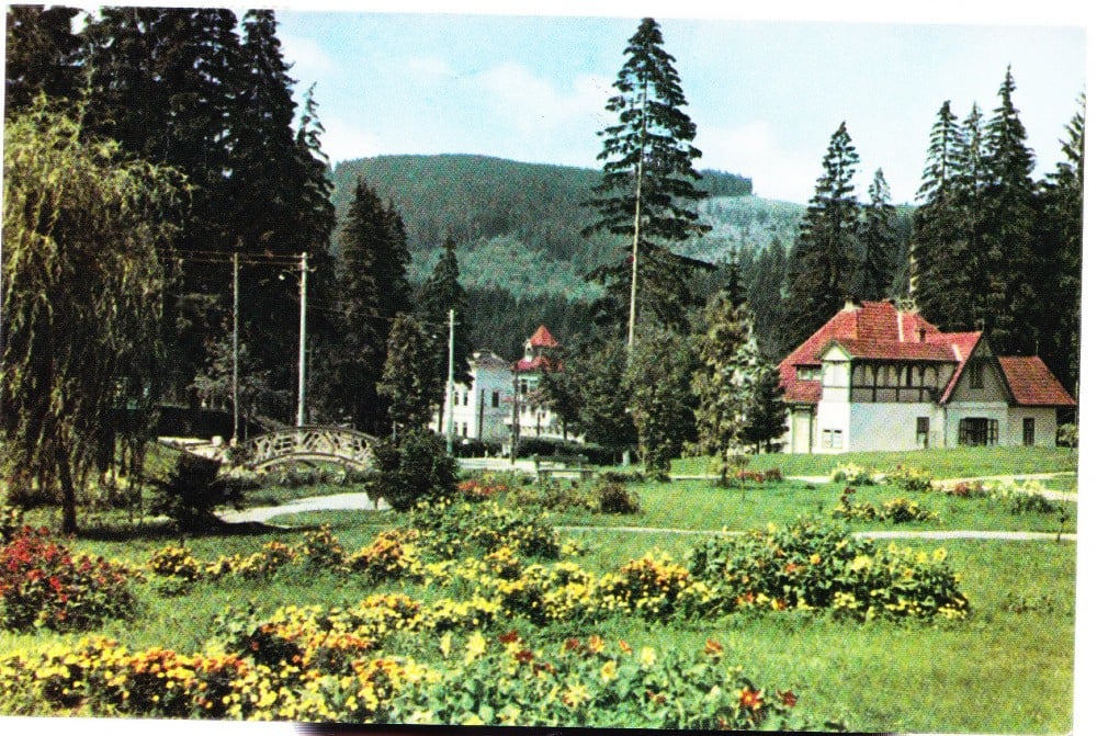 Fotografie: Ilustrată „Borsec — vedere din stațiune”, 1966, circulată