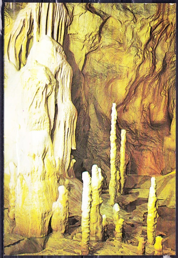 Fotografie: Ilustrată „Peștera Urșilor, Chișcău — Bihor”, necirculată (II)