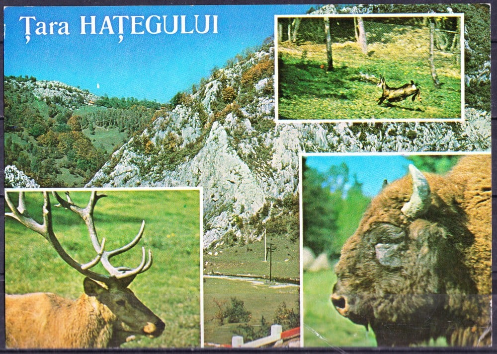 Fotografie: Ilustrată „Țara Hațegului”, 1976, circulată