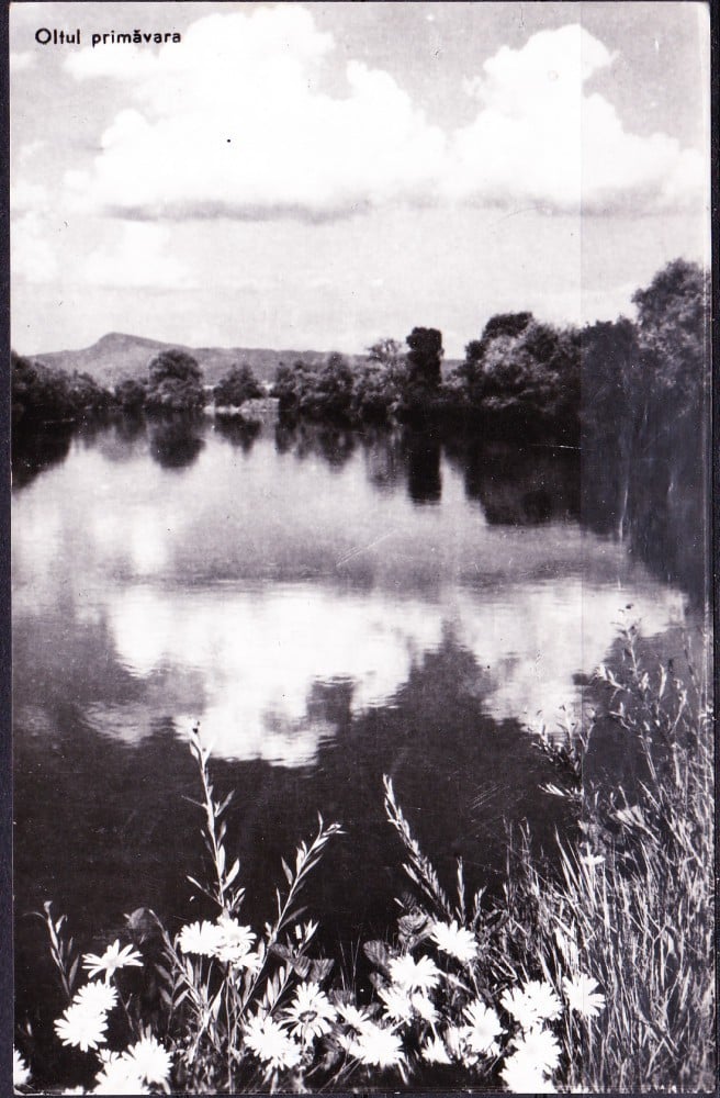 Fotografie: Vedere „Oltul primăvara”, 1959, circulată