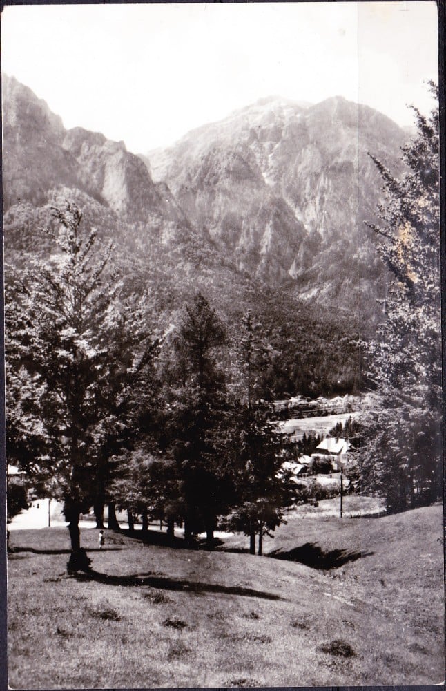 Fotografie: Vedere „Poiana Țapului”, circulată