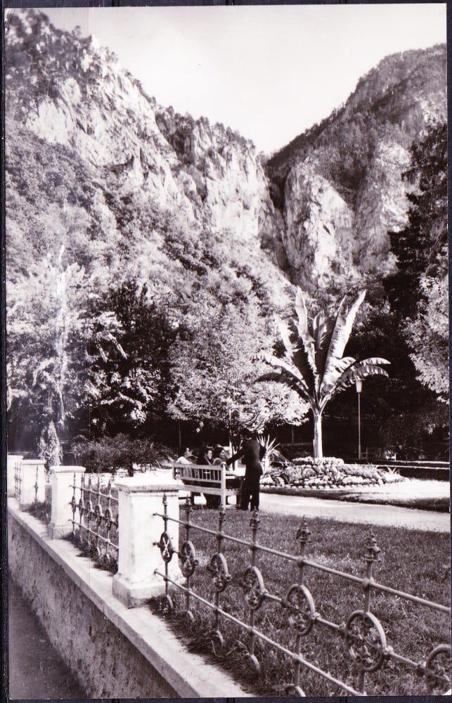Fotografie: Ilustrată „Băile Herculane — vedere din parc”, necirculată