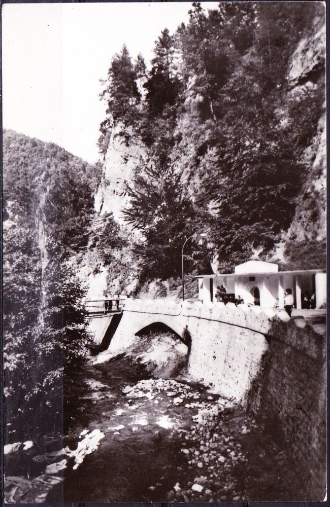 Fotografie: Ilustrată „Olănești — Izvorul nr. 24”, 1964, circulată