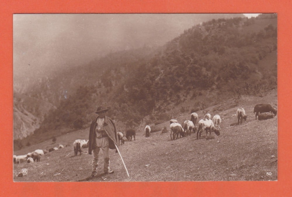 Fotografie: Ilustrată „Cioban cu oile”, Editura Cartea Românească, necirculată