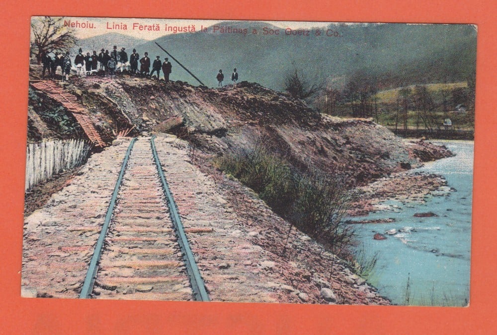 Fotografie: Ilustrată „Nehoiu — linia ferată îngustă la Păltiniș a Soc. Goetz & Co.”, animată, necirculată