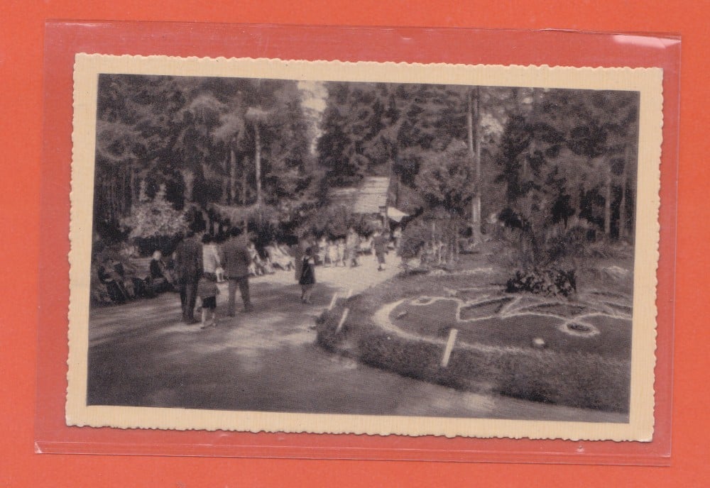Fotografie: Ilustrată „Vatra Dornei — vedere din parc”, 1939, necirculată