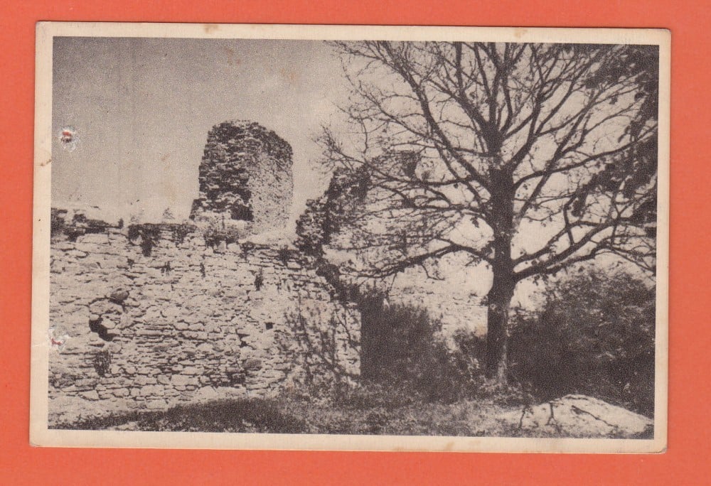 Fotografie: Vedere „Suceava — ruine la Cetate”, 1958