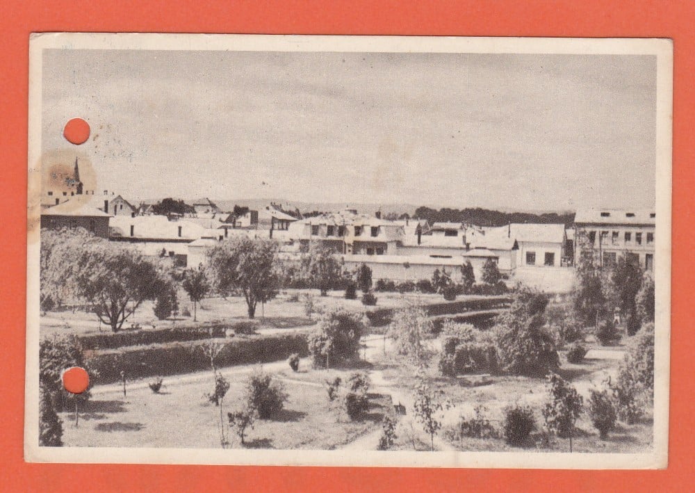 Fotografie: Vedere „Rădăuți — vedere din parc”, 1955