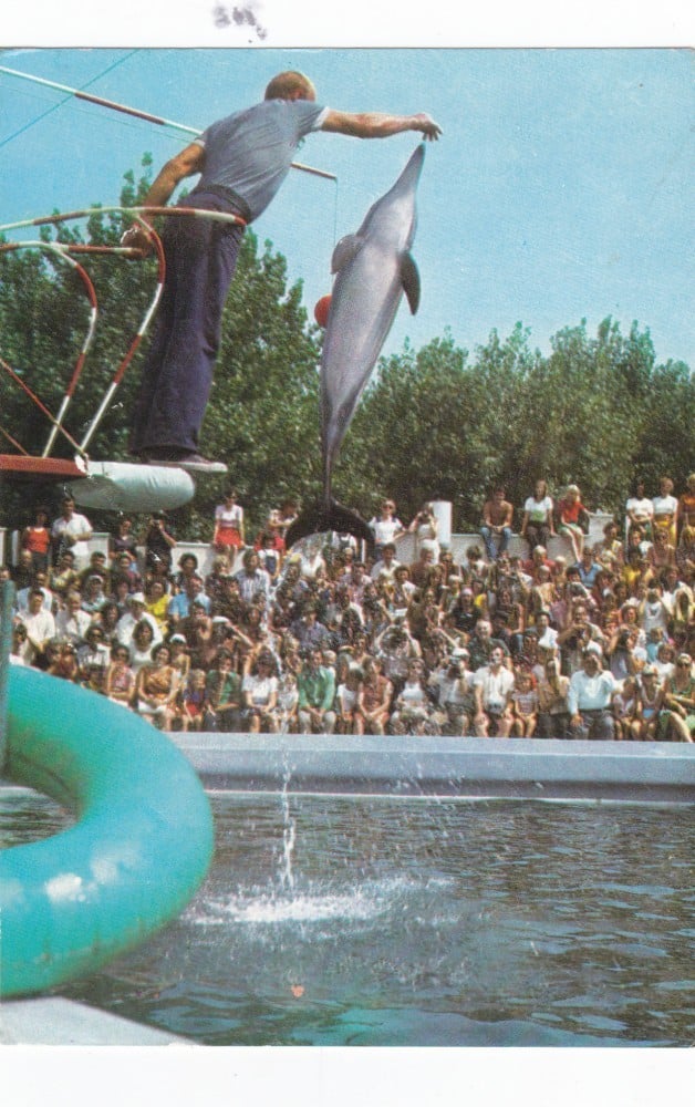 Fotografie: Ilustrată „Constanța — spectacol la Delfinariu”, circulată