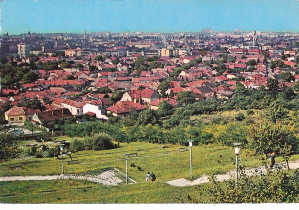 Fotografie: Ilustrată „Oradea — vedere de pe Dealul Viilor”, circulată
