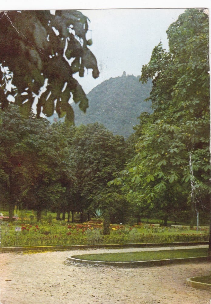 Fotografie: Ilustrată „Târgu Ocna — parc”