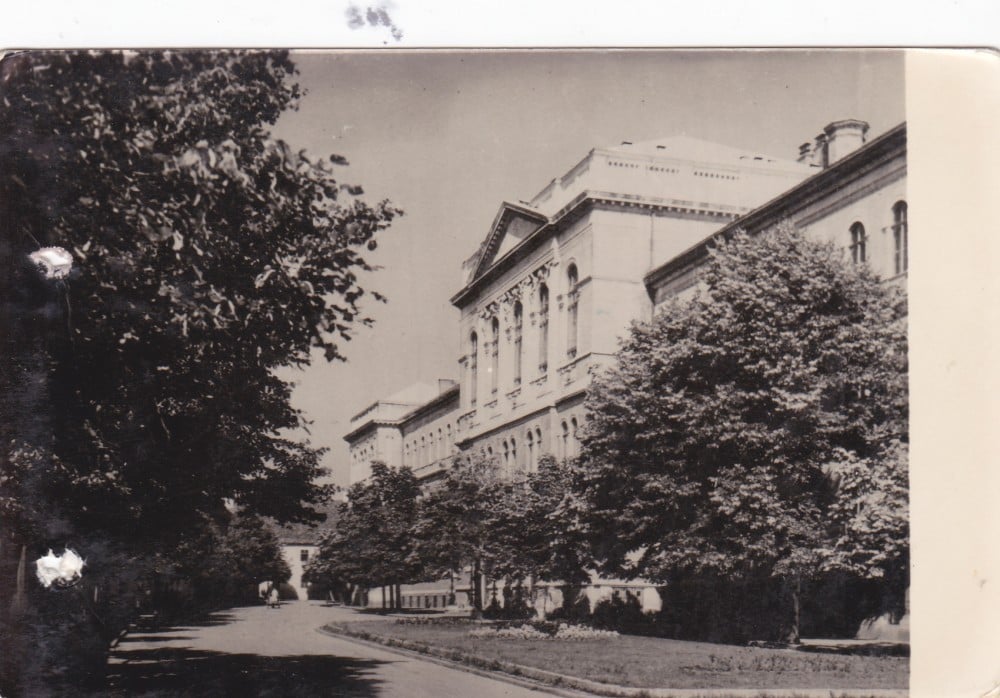 Fotografie: Ilustrată „Cluj — Universitatea Victor Babeș”, 1957