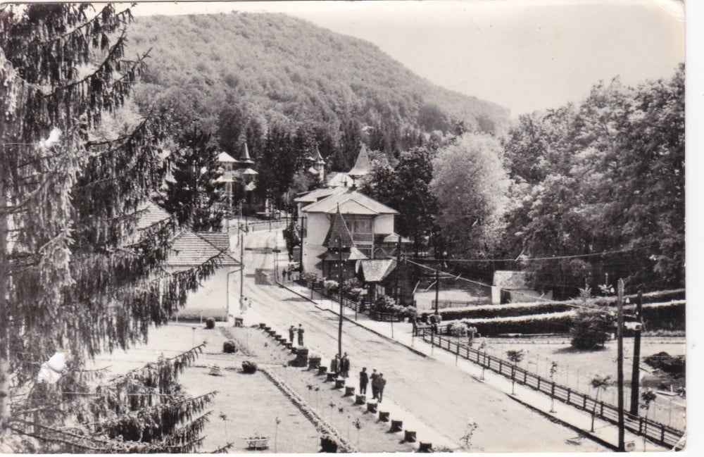 Fotografie: Ilustrată Sovata, necirculată