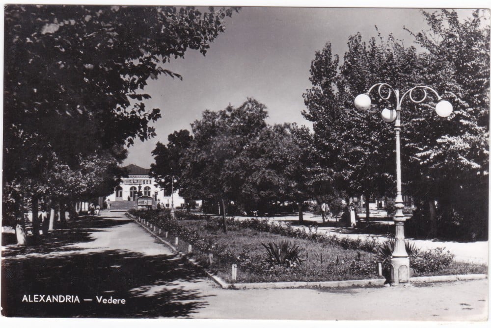 Fotografie: Ilustrată „Alexandria — vedere”, 1960