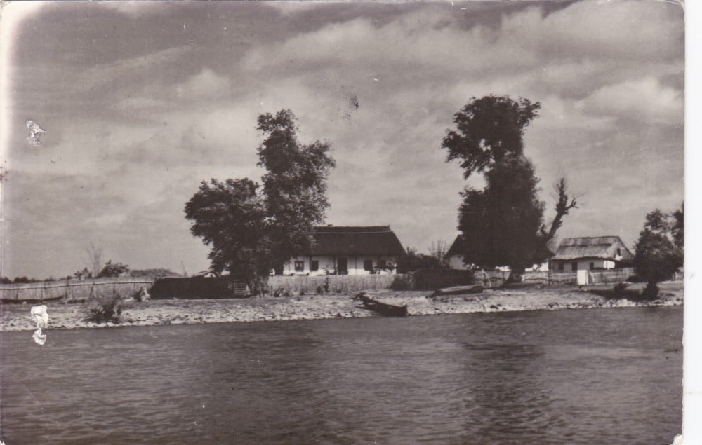 Fotografie: Ilustrată „Case pescărești în Delta Dunării la Crișan”, 1958