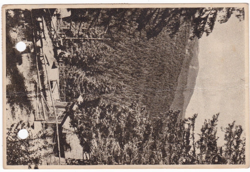 Fotografie: Ilustrată „Păltiniș — vedere”, 1955