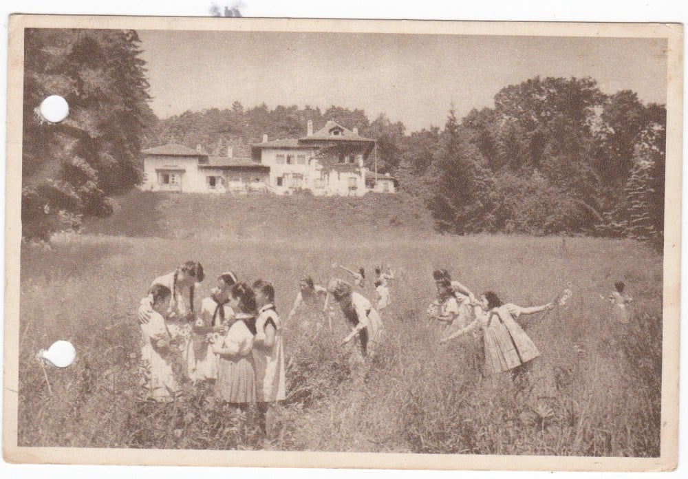 Fotografie: Ilustrată „Orașul Stalin — Palatul Pionierilor”, 1956