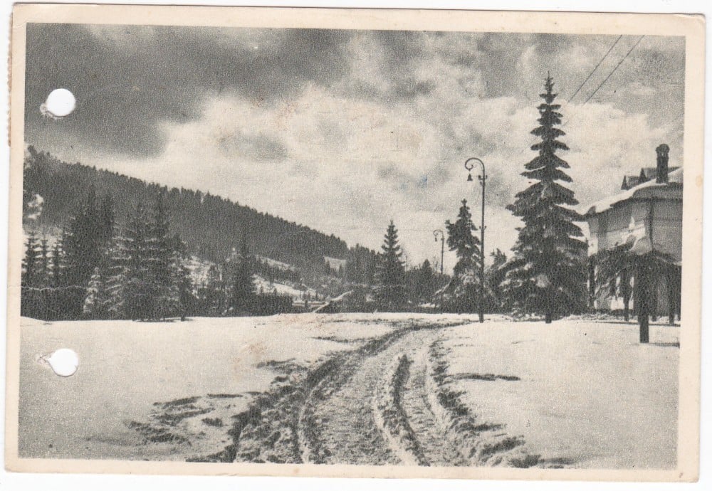 Fotografie: Ilustrată „Predeal — vedere din parc”, 1955