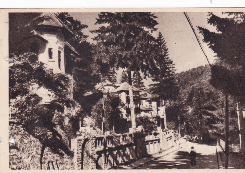 Fotografie: Ilustrată „Sinaia — vedere”, 1956