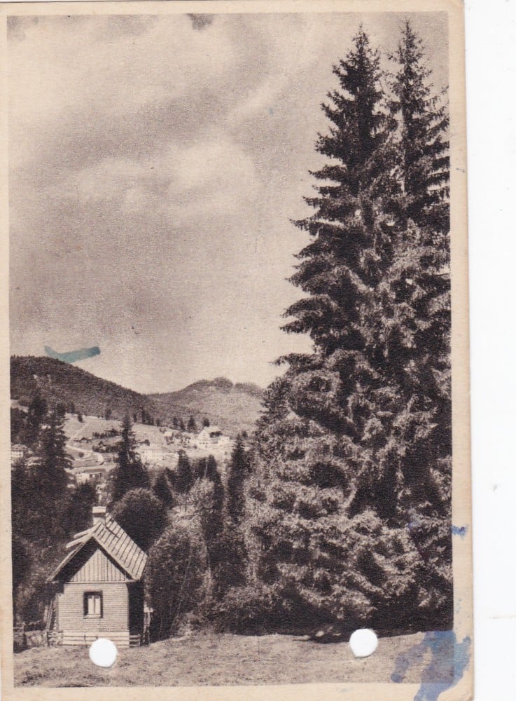 Fotografie: Ilustrată „Predeal-Cioplea — vedere”, 1955