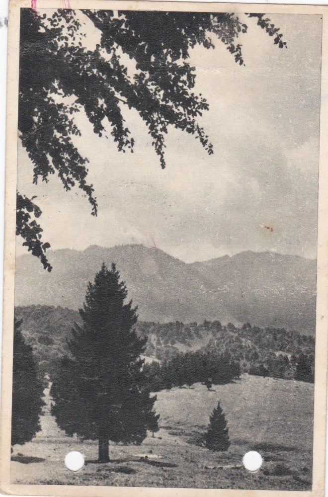 Fotografie: Ilustrată Poiana Brașov, 1949