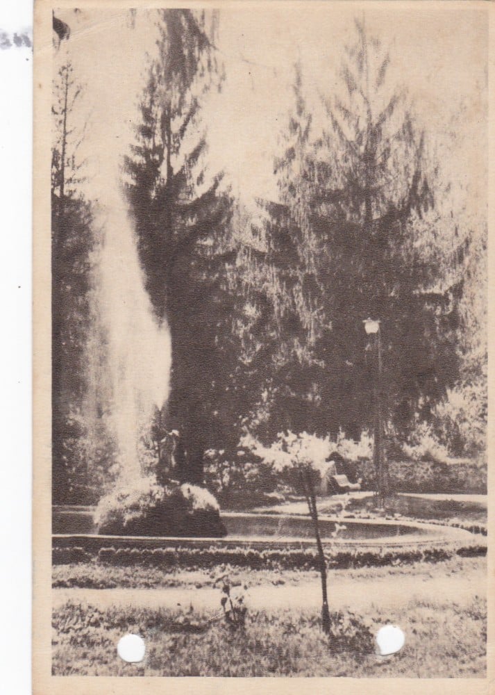 Fotografie: Ilustrată „Călimănești — vedere din parc”, 1956