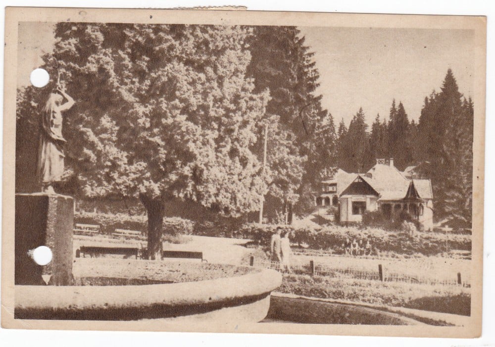 Fotografie: Ilustrată „Borsec — vedere din parc”, 1956