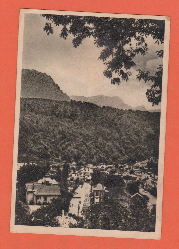 Fotografie: Carte poștală „Azuga — vedere generală”, sepia, necirculată