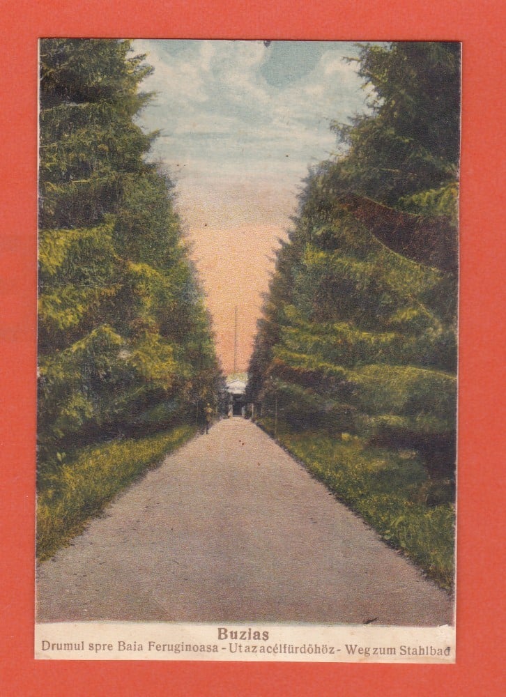 Fotografie: Carte poștală „Buziaș — drumul spre baia feruginoasă”, circulată în 1936