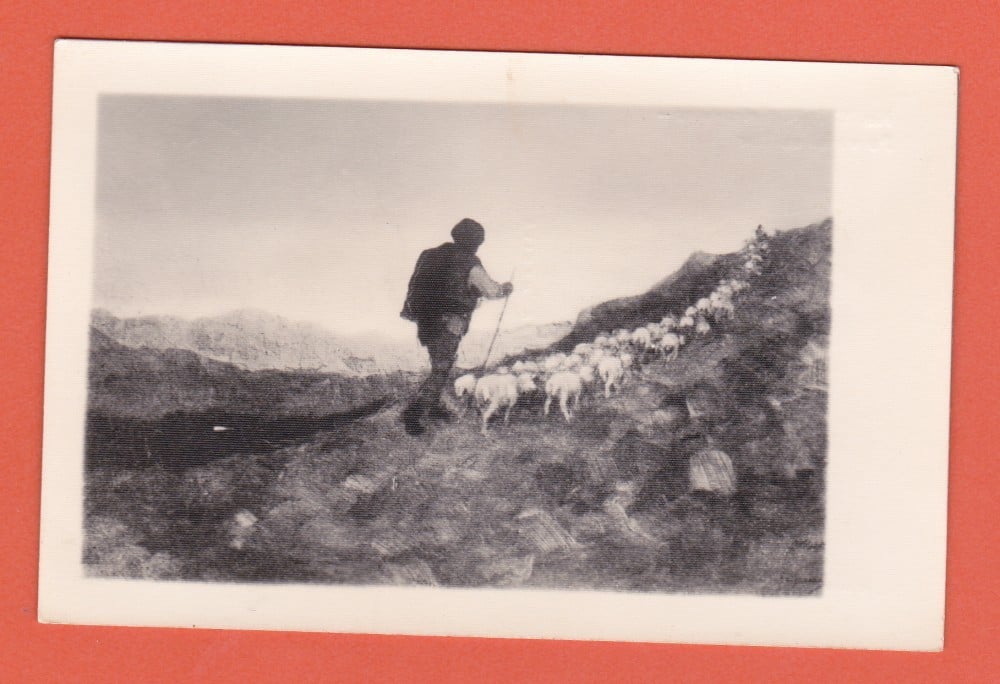 Fotografie: Ilustrată N. Grigorescu — „Pe vârful cu dor”