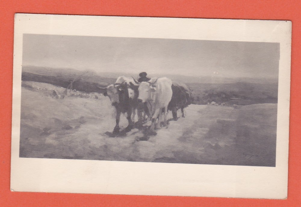 Fotografie: Ilustrată N. Grigorescu — „Car cu fân”