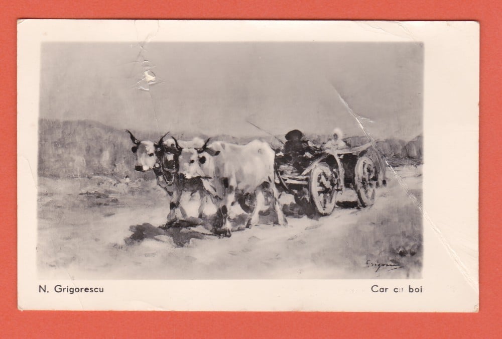 Fotografie: Ilustrată N. Grigorescu — „Car cu boi”