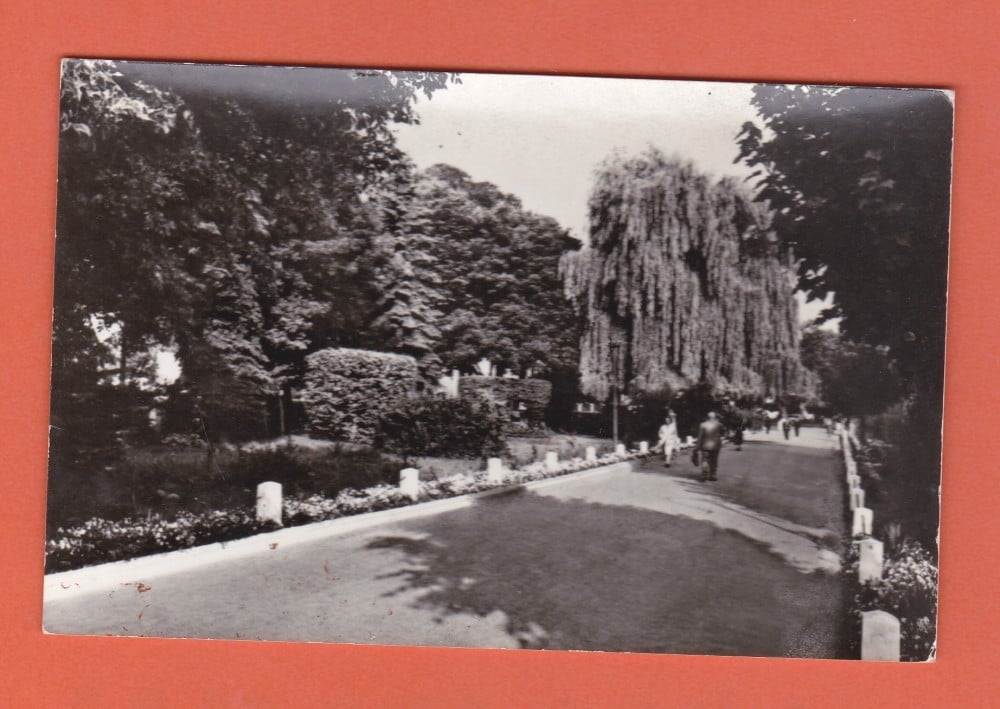 Fotografie: Carte poștală „Rădăuți — vedere din parc”, necirculată