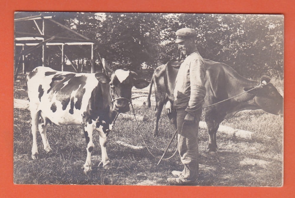 Fotografie: Fotografie cu o fermă, perioada interbelică