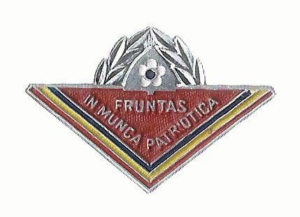 Fotografie: Insignă pionieri „Fruntaș în munca patriotică”, fără clasă, aluminiu