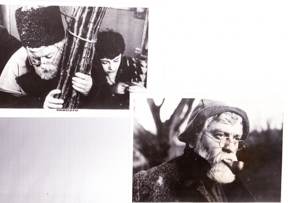Fotografie: Lot de 4 fotografii oficiale din filmul „Arbuștii”