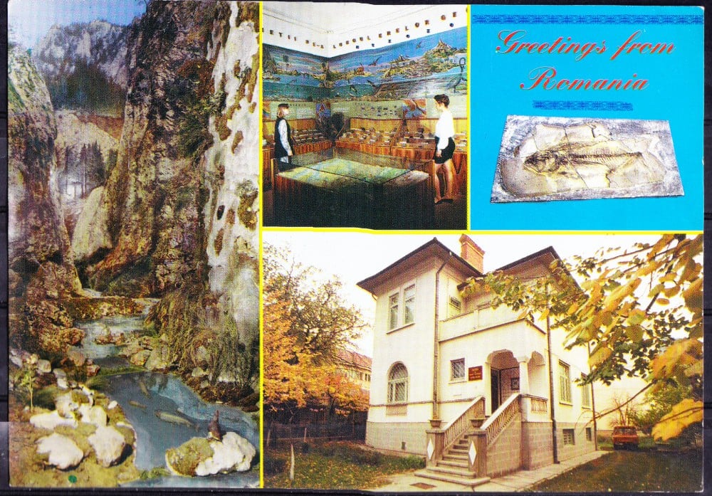 Fotografie: Ilustrată „Piatra Neamț — Muzeul de Științe Naturale”, necirculată