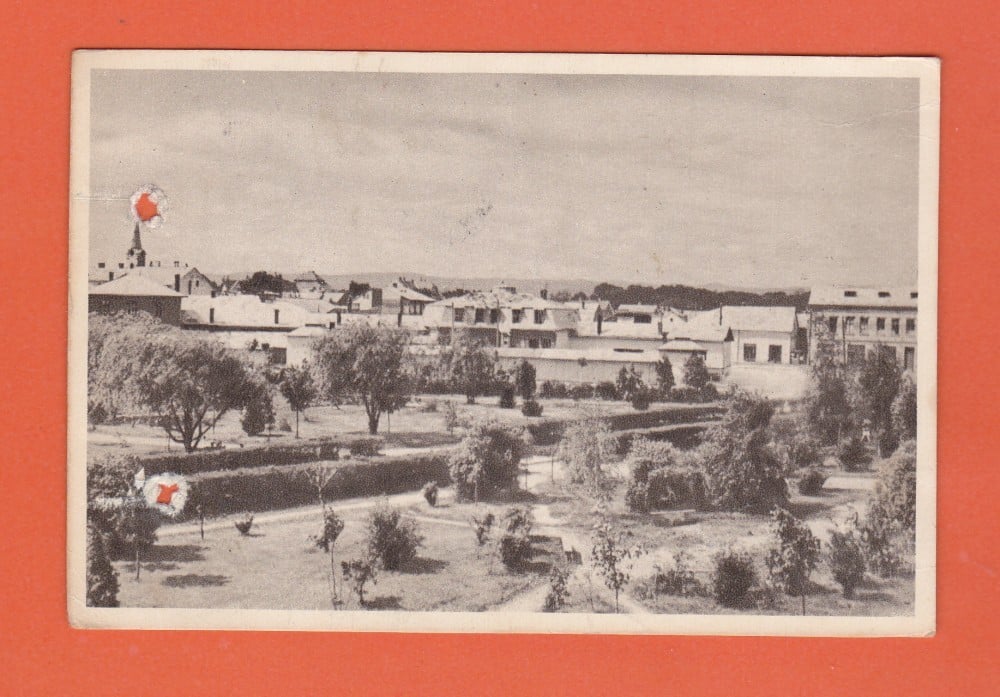 Fotografie: Vedere „Rădăuți — vedere din parc”, circulată în 1957, sepia