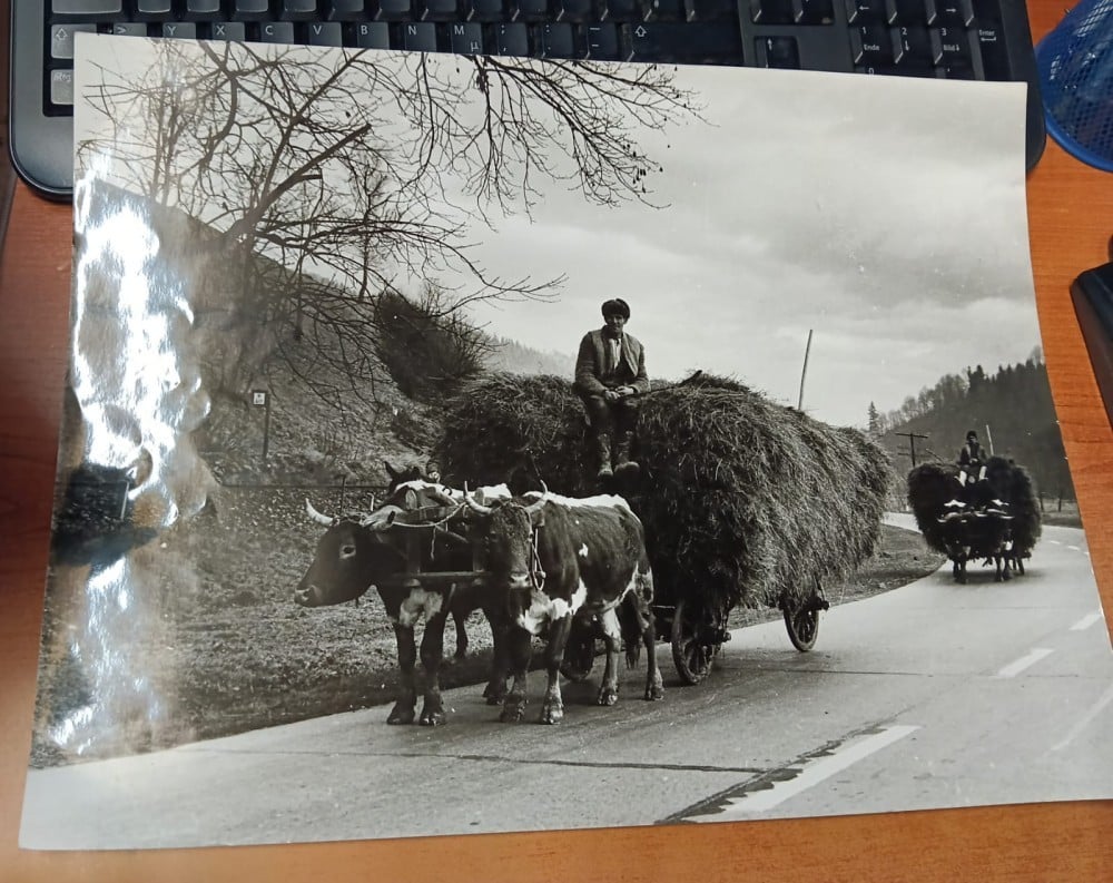 Fotografie: Fotografie „La intrarea în Putna — care cu boi venind de la fân”, 400 × 300 mm